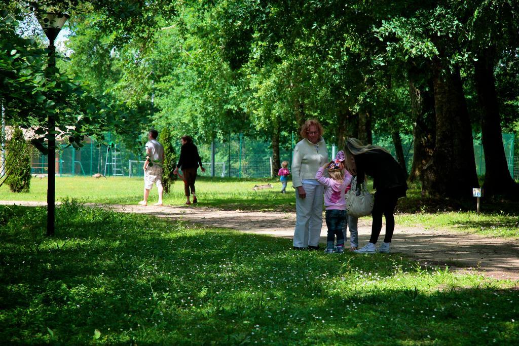 Domaine Du Roi Kysmar Hotel Villandraut Bagian luar foto